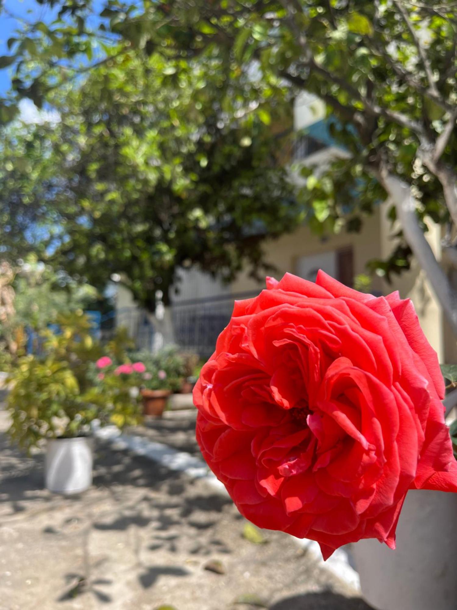 Hotel Portokali Himare Esterno foto